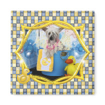Sasha - Chinese Crested Fridge Magnets