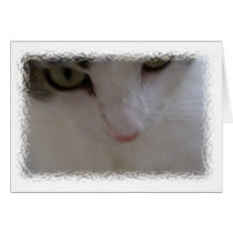 Sasha - closeup greeting card