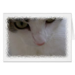 Sasha - closeup cards