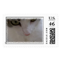 Sasha - closeup postage stamp