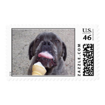 Sasha eating soft serve ice cream. stamps