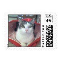Sasha in the Sack Postage Stamps