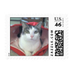 Sasha in the Sack postage