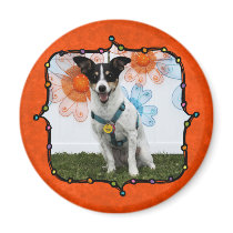 Sasha - Jack Russell Refrigerator Magnet