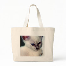 Sasha Kitten Bag