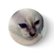 Sasha Kitten Button