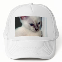 Sasha Kitten hats