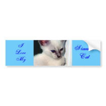 Sasha Kitten/I Love My Siamese Bumper Sticker bumper stickers