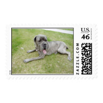 Sasha Lounging Stamp