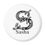 Sasha magnets