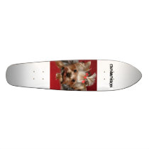 sasha my life, crazyaboutyorkies skateboards