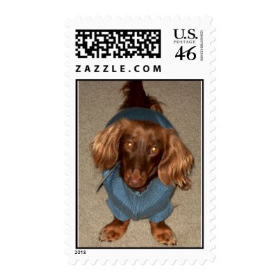 Sasha Postage Stamp by Danyella_19