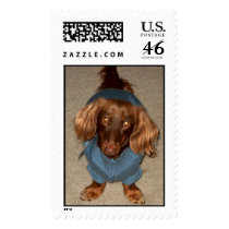 Sasha Postage Stamp