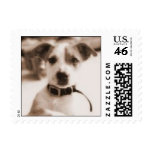 Sasha postage