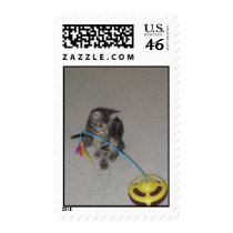 SASHA POSTAGE STAMPS