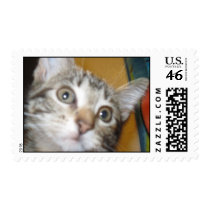 Sasha Postage Stamps