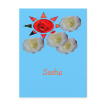 Sasha postcards