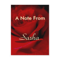 Sasha postcards