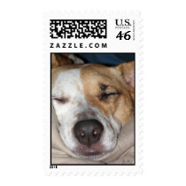 sasha sleeping, DMT Postage