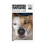 sasha sleeping, DMT postage