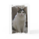 Sasha-Sophisticated Birthday cards by supermuper Sasha-Sophisticated Birthday cards