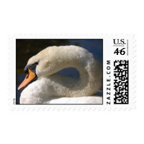'Sasha' stamps