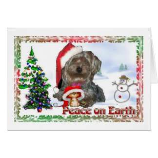 sydney silkie gifts on zazzle sydney silkie gifts on zazzle