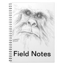 Sasquatch Notebook notebooks