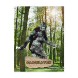 Sasquatch Postcards