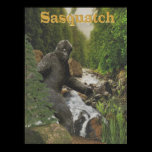 Sasquatch poster posters
