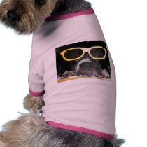 Sassi in 3-D pet clothing