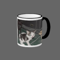 Sassy Cats mugs