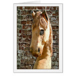 Sassy Horse cards