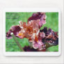 Sassy Iris Picture Mouse Pad