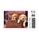 Sassy & Jasmine's Picnic  Postage