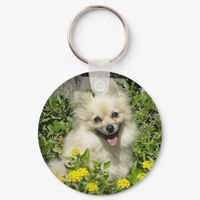 Sassy Keychain by Humane_Society