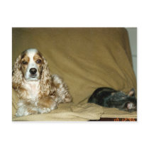 sassy n grey postcards