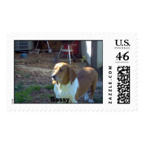 Sassy postage