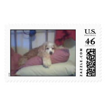 sassy postage by holycrocodile sassy postage