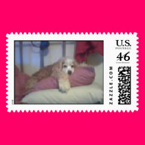 sassy stamps
