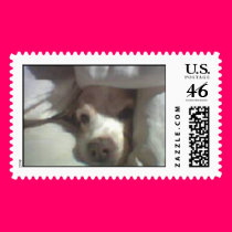 sassy postage