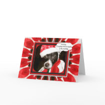 Sassy Santa Dog cards