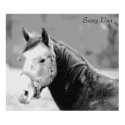 Sassy Una Print