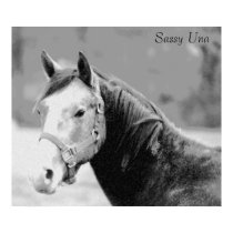 Sassy Una Print by SecondChanceRanch Sassy Una Print