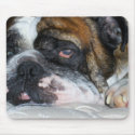 Sassydog English bulldog mouse pad mousepads