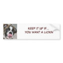 Sassydog Lickin Bumper Sticker bumper stickers