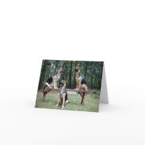 Sassydog posing German Shepard note card