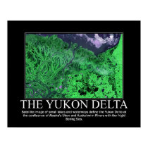 Satellite Image of The Yukon Delta posters