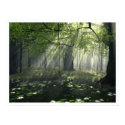 Satori posters by digitalblasphemy Satori posters