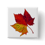 Saturated Sycamore Button